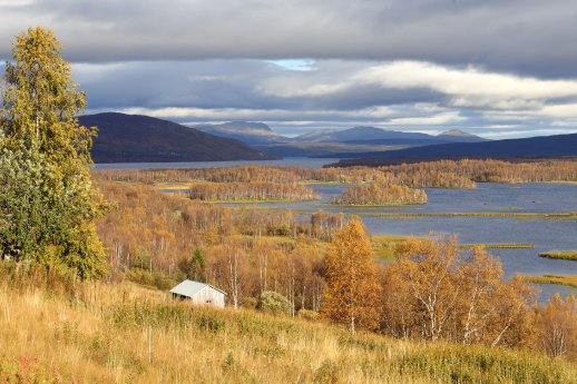 Herbst stimmung Vildmarksvägen nördkliches Jämtland - Schweden.jpg