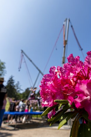 Rhododendronparkfest-TuK-Graal-Mueritz-3.jpg