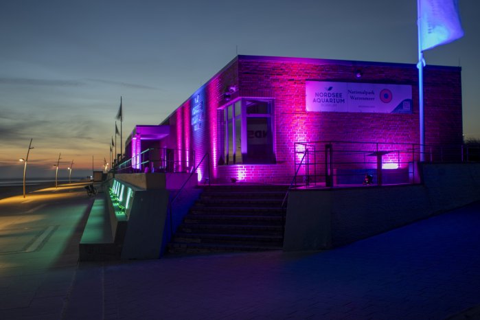 Nordseeaquarium.jpg
