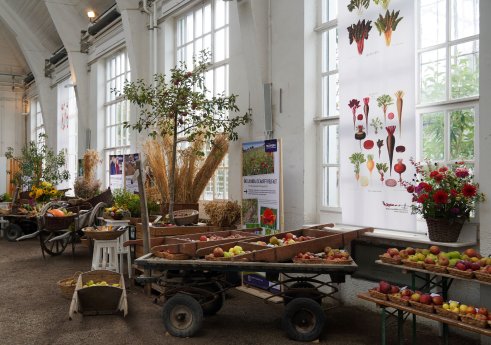 Bild 2 Sonderausstellung Erntedank 2024_c_BotMuc_Diana Geier.jpg