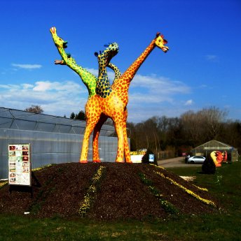 Giraffe, Landmark von Birkenried.jpg