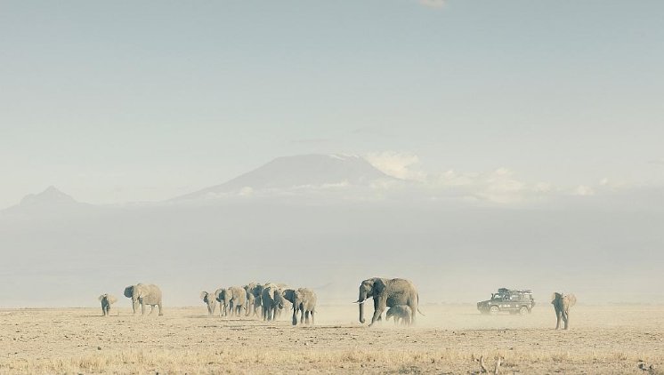 Photographer_George_Logan_captures_a_Land_Rover_observing_a_herd_of_elephants_in_Kenya_for_.jpg