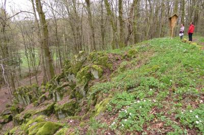 Der Alteburgskopf – eine beeindruckende Felsformation oberhalb von Schotten (Foto: Susanne Jost)