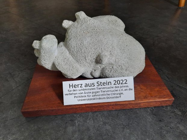 Herz aus Stein 2022 Düsseldorf.jpg