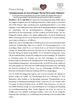 PM_12_DHS_DSHF_Aortenklappenerkrankungen_Dr Rusche-Forschungsprojekt_2016-04-13.pdf