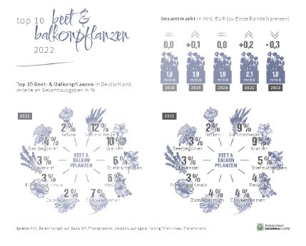 ZVG_Top10_2022_BeetundBalkonpflanzen.pdf