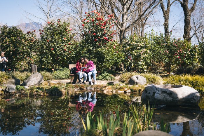 Parco delle Camelie, Locarno-Ticino Turismo - Milo Zanecchia.jpg