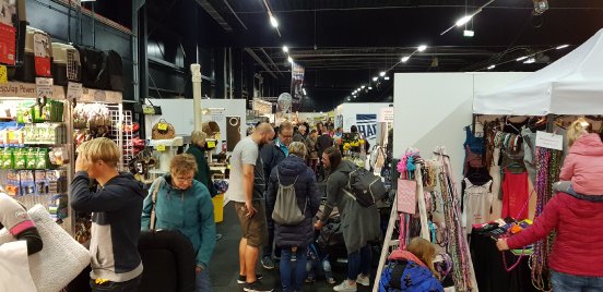 hundundkatze Kalkar 1.jpg