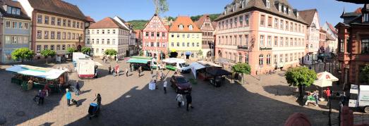 Grüner Markt im Herzen von Karlstadt Wollen auch Sie Ihre Produkte auf unserem Grünen Markt anbieten? / Foto: Susanne Keller