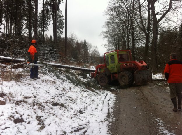 Sturm Niklas Solling (Foto Glanz).jpg