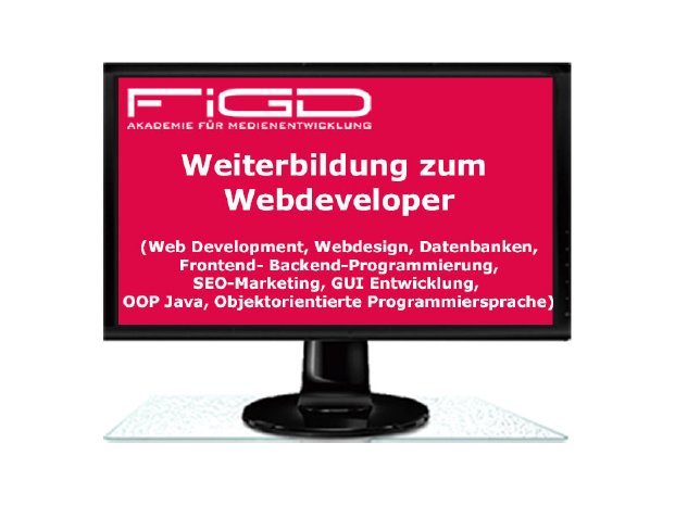 FiGD Akademie_Webdeveloper_2024_800-600.png
