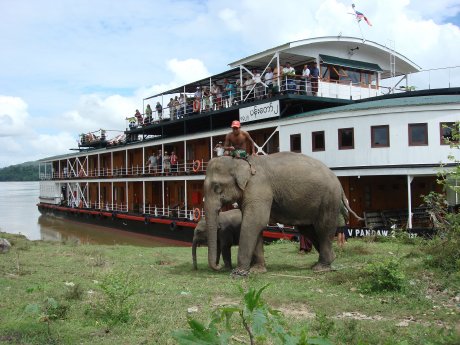 Elefanten_BFS_KarawaneReisen_PandawExpeditions.jpg