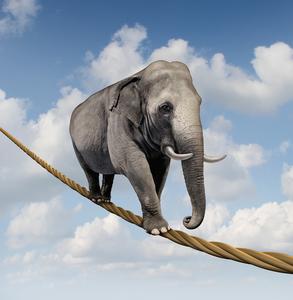 Elefant auf hochseil freshidea / Fotolia