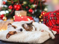 Wenn Ruhe zur schönsten Form von Fürsorge wird