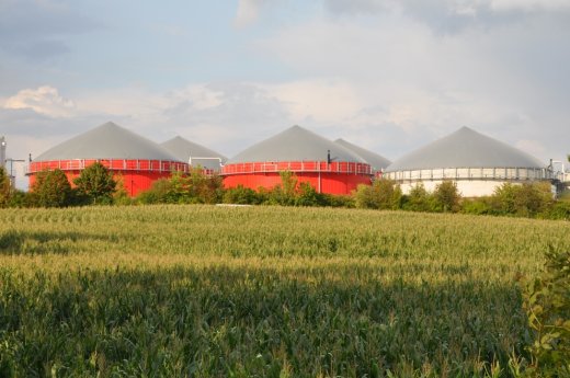 Maisfeld mit Biogasanlage klein Foto Sigurd Dietrich.jpg