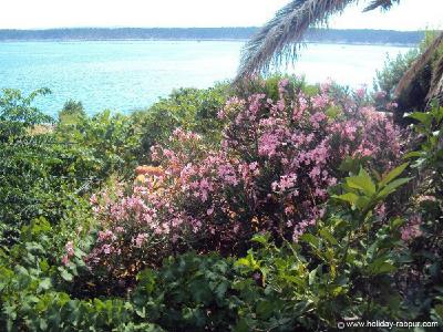 Blick über den Garten zum Strand.