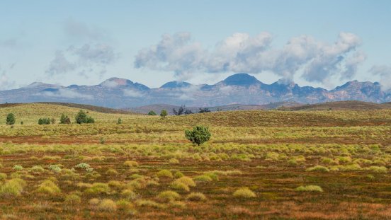 04-flinders-004.jpg