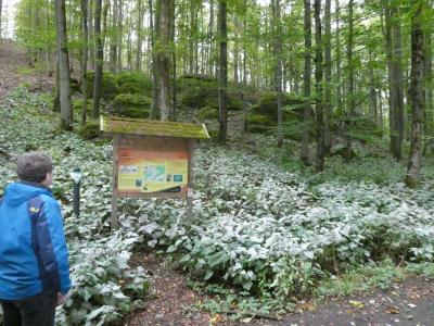 Geotop und Naturdenkmal „Wilde Saudeck“ an der Bonifatiusroute bei Sichenhausen. Foto: Susanne Jost