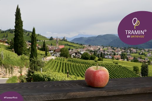 Artevos_Apfel_‘Tramin‘-s-_Landschaft.png