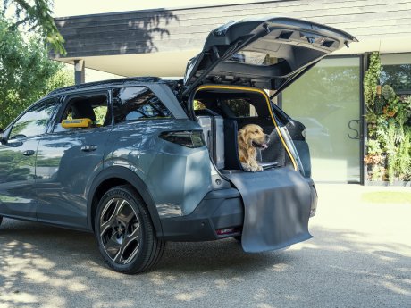 PEUGEOT E-5008 Dog Edition Concept 2.jpg