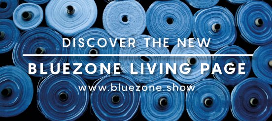 Bluezone_Living Page Launch_Banner 1.jpg