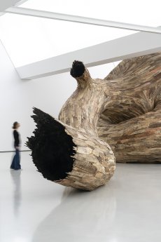 Henrique_Oliveira_Ausstellungsansicht3.jpg