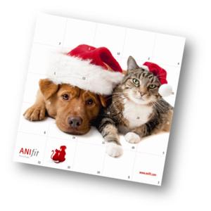 Ohne Knochen Keine Weihnachten Anifit Tiernahrung Gmbh Pressemitteilung Lifepr