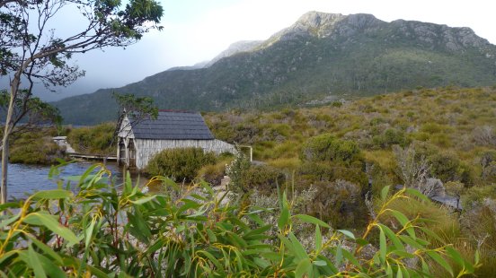 Tasmanien - Cradle Mountain NP.JPG