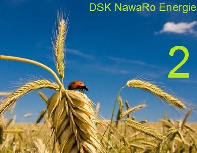 DSK NE2 Coverbild