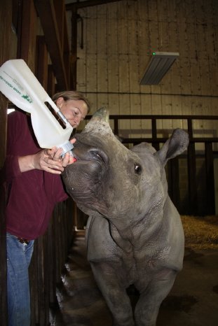 Flasche in Longleat_Ebun und Hofmann.JPG