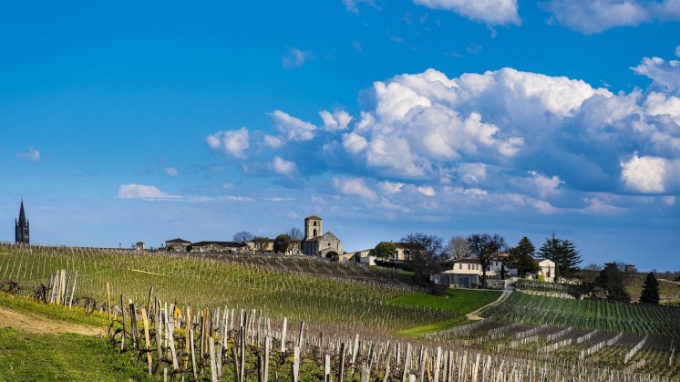 csm_csm_Saint-Emilion_XH18477_8e91a3fb13_4c57a59bbd.jpg