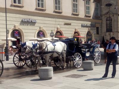 Wien: Fiaker raus aus der Innenstadt!