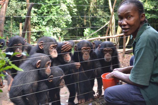 Tacugama Chimpanzee Sanctuary.jpg