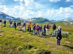 Schweden, Lappland, Wandergruppe im Fjäll auf der Suche nach Rentieren.jpg