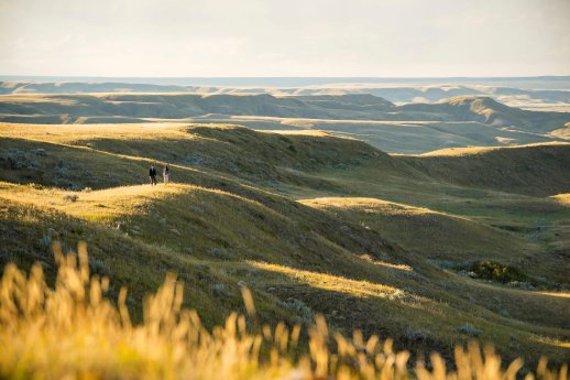 Grasslands National Park_Credit Tourism Saskatchewan_Chris Hendrickson Photography  .jpg