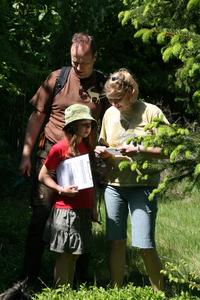 - Die "caches" befinden sich unmittelbar neben Wegen und Steigen, um die Vegetation im Schutzgebiet nicht negativ zu beeinflussen / Foto: Nationalpark Kellerwald-Edersee
