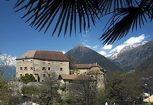 Frühlingsgefühle unter Palmen vor Schloss Schenna