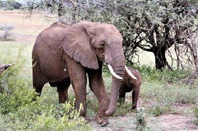 Foto-Safari mit Eckhard Schulz aus Grabow in Hochschulbibliothek / Foto © privat