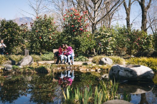 Parco delle Camelie, Locarno-Ticino Turismo - Milo Zanecchia.jpg