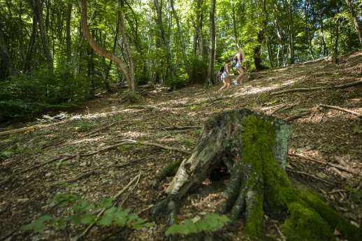 Monte San Giorgio-Copyright Ticino Turismo - Foto Luca Crivelli.jpg