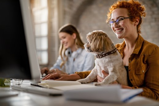 Hund_im_Buero_AdobeStock.jpg