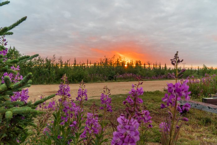 Churchill Mushing_01751_ (c)Travel Manitoba.jpg
