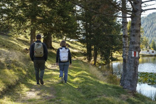Mornera Curzutt Birdbox-Switzerland Tourism -André Meier.jpg