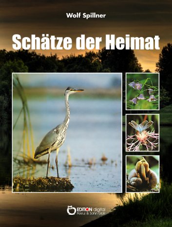 Heimat_cover.jpg