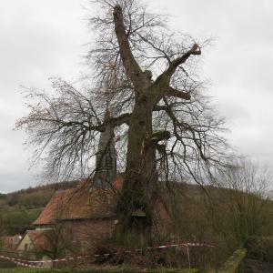 Naturdenkmal in Fraurombach droht auseinander zu brechen