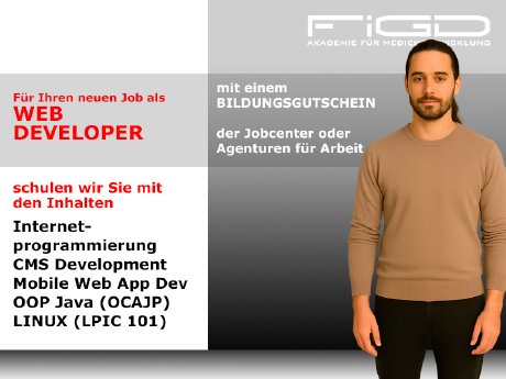 Webdeveloper_800x600.jpg