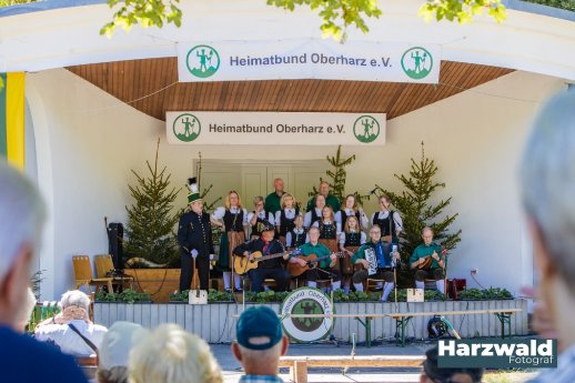 Bruchbergsänger©Harzwald Fotograf.jpg