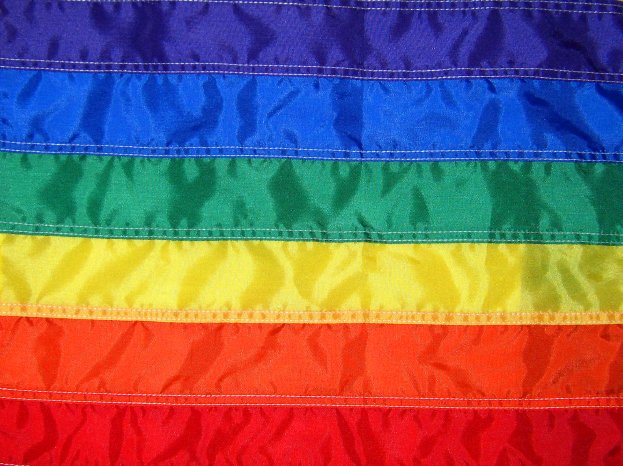 gay flag.jpg