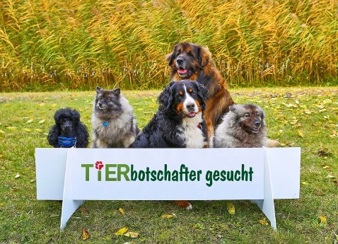 TIERisch-gut-Tierbotschafter-(c)-Messe Karlsruhe-Jürgen-Rösner.jpg