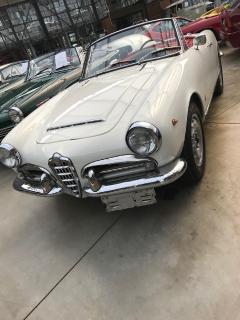 Unter der Lupe der TÜV SÜD-Fachleute: Alfa Romeo Giulia Spider, Baujahr 1963